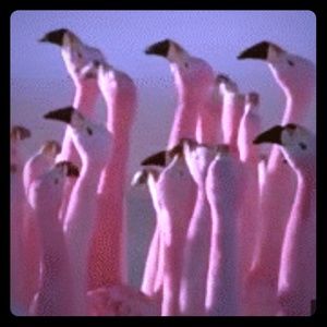 All reasonable offer considered